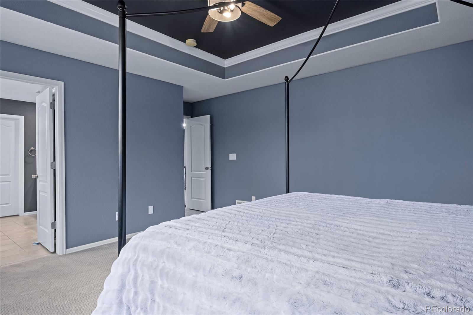 MLS Image #27 for 3021  leafdale drive,castle rock, Colorado