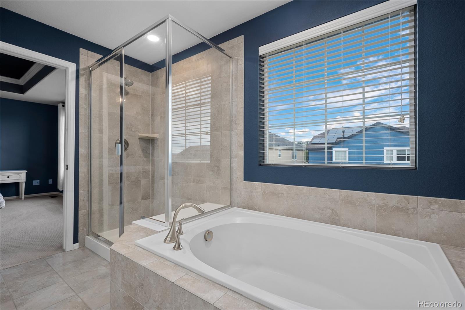 MLS Image #29 for 3021  leafdale drive,castle rock, Colorado