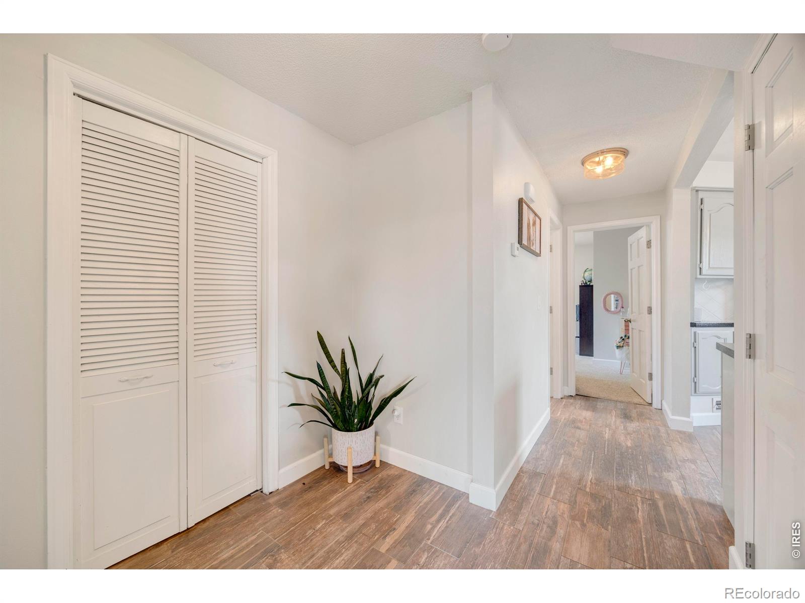 MLS Image #4 for 201 e 4th avenue,severance, Colorado