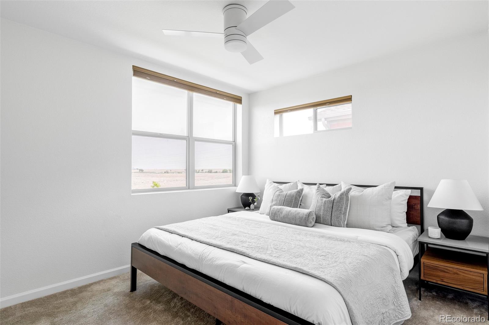 MLS Image #16 for 6317  hanover street,denver, Colorado