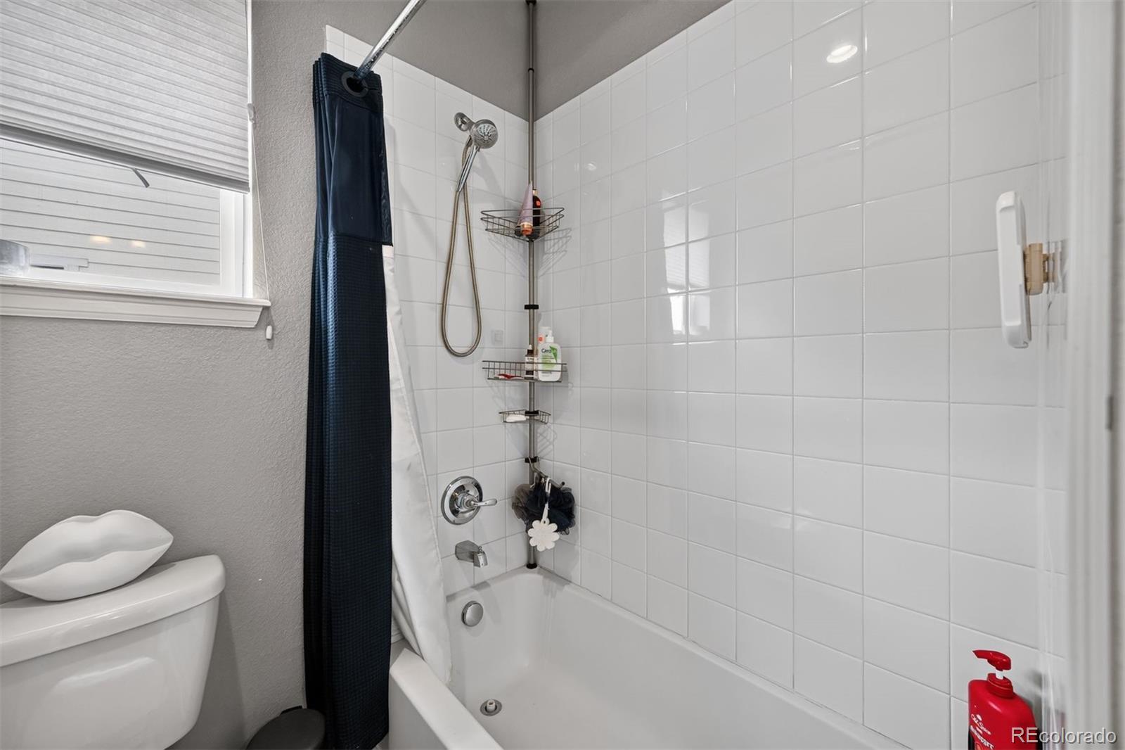MLS Image #21 for 3838  long rifle drive,castle rock, Colorado