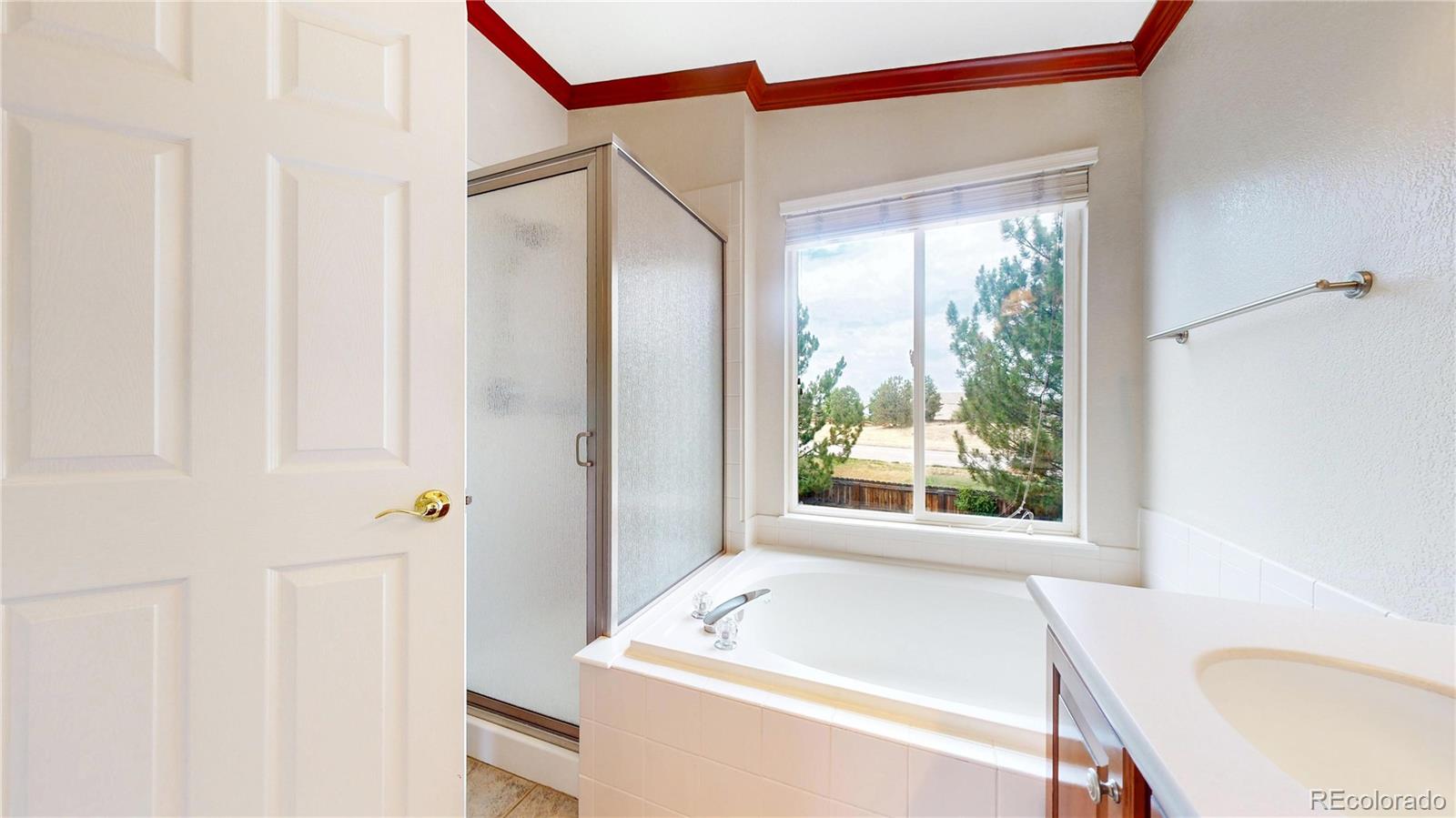MLS Image #16 for 8225  wetherill circle,castle pines, Colorado