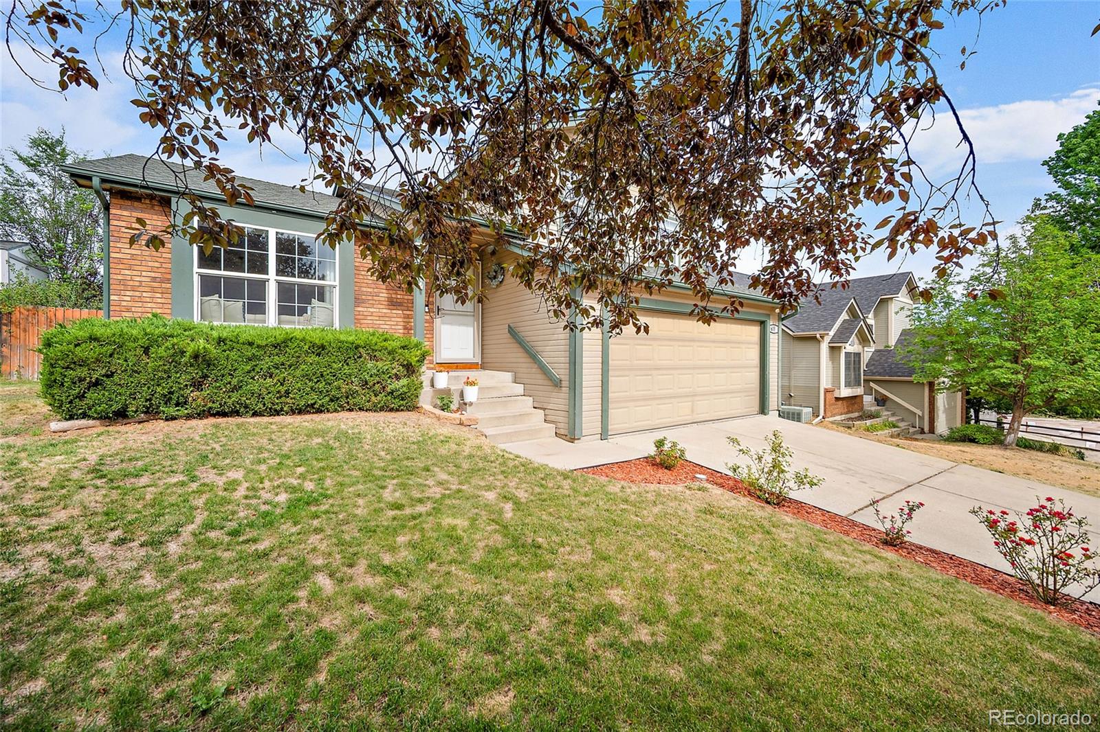 MLS Image #2 for 6356  firestar lane,colorado springs, Colorado