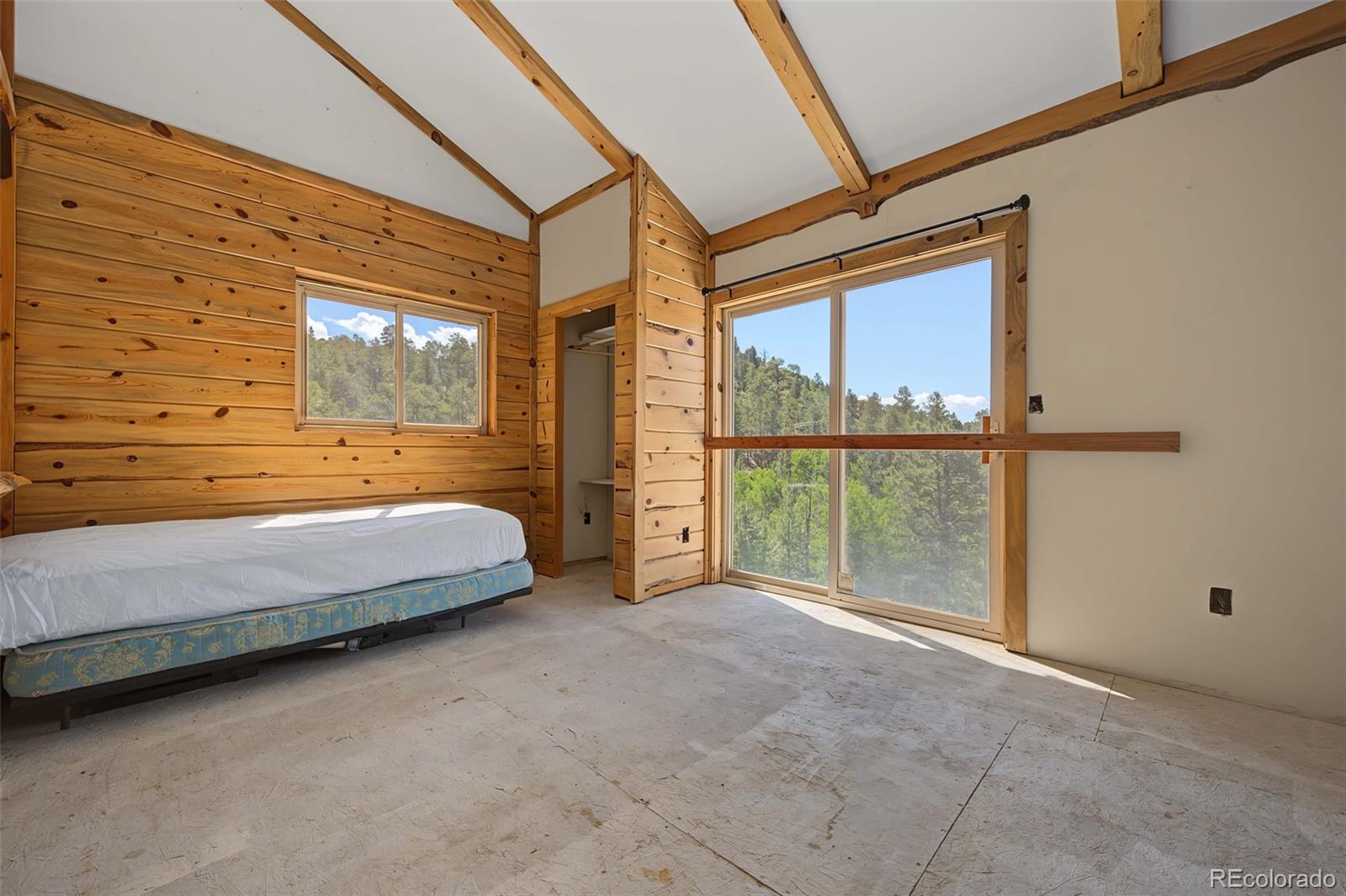 MLS Image #23 for 1661  good hope drive,westcliffe, Colorado