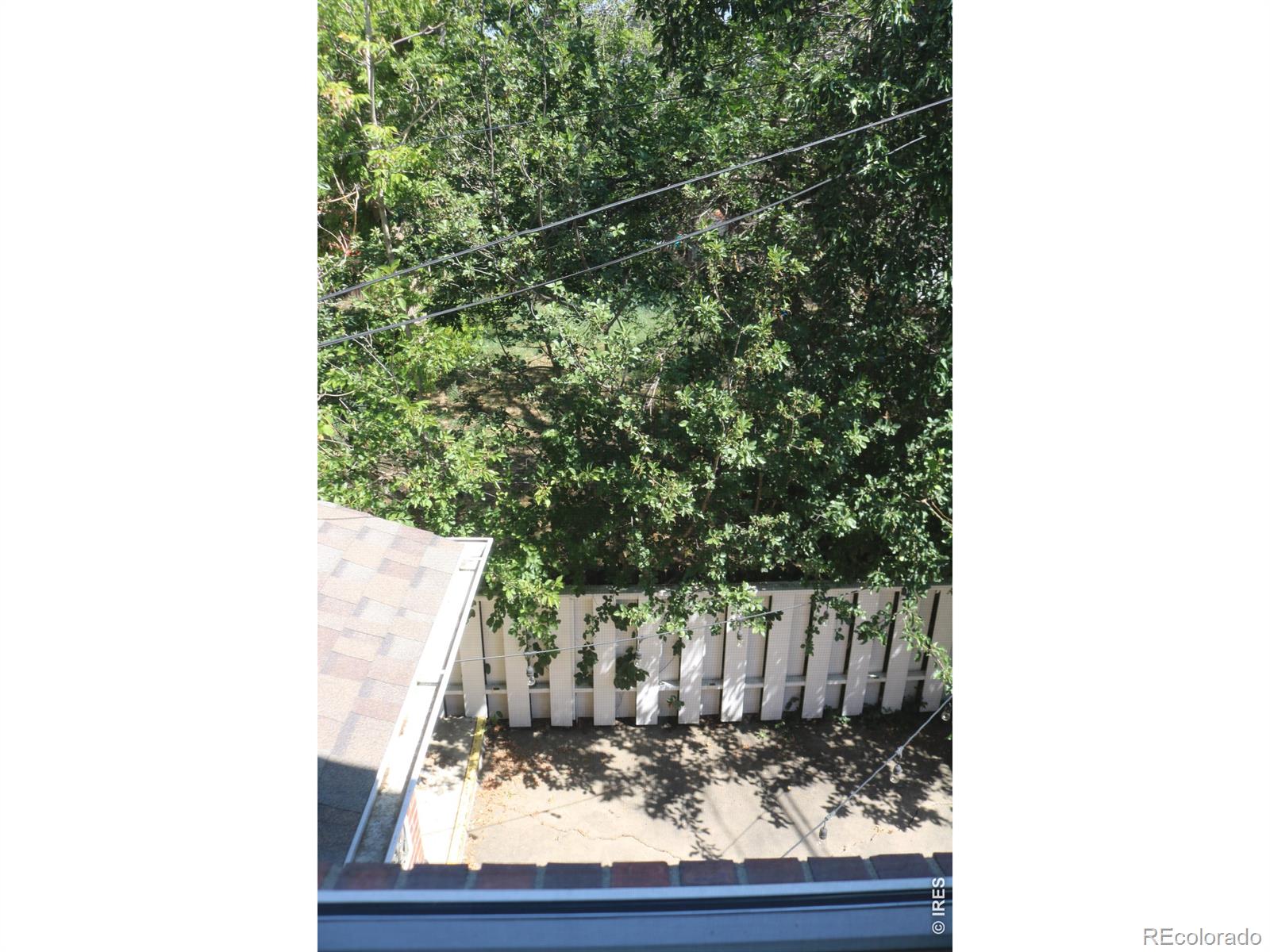 MLS Image #37 for 800  lincoln street,longmont, Colorado
