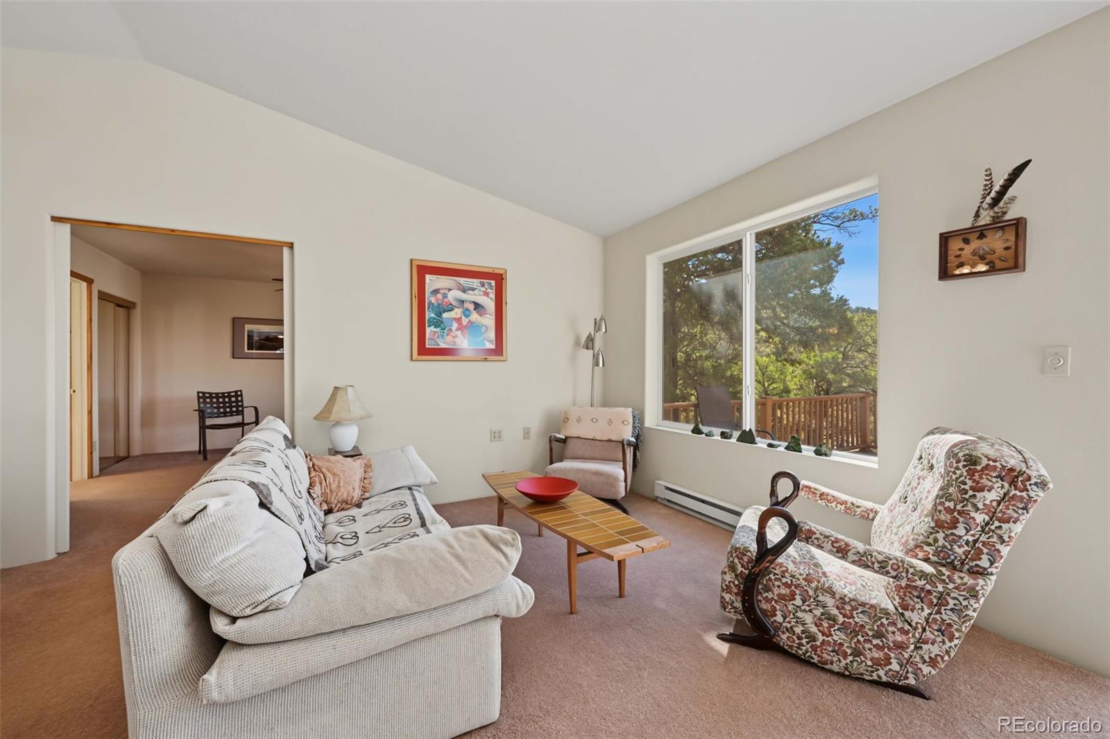 MLS Image #11 for 356  iron mountain lane,cotopaxi, Colorado