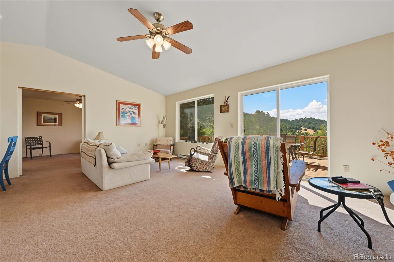 MLS Image #13 for 356  iron mountain lane,cotopaxi, Colorado