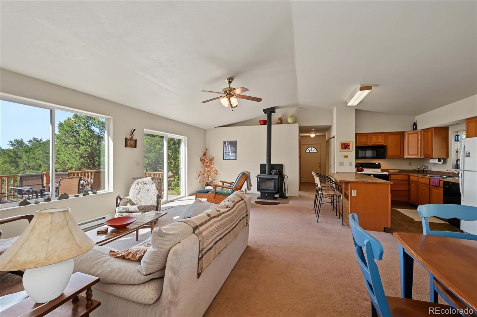 MLS Image #16 for 356  iron mountain lane,cotopaxi, Colorado