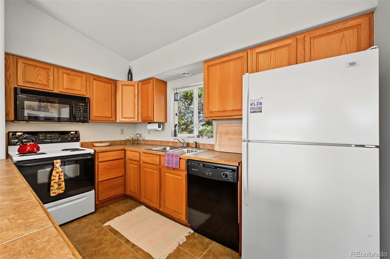 MLS Image #19 for 356  iron mountain lane,cotopaxi, Colorado
