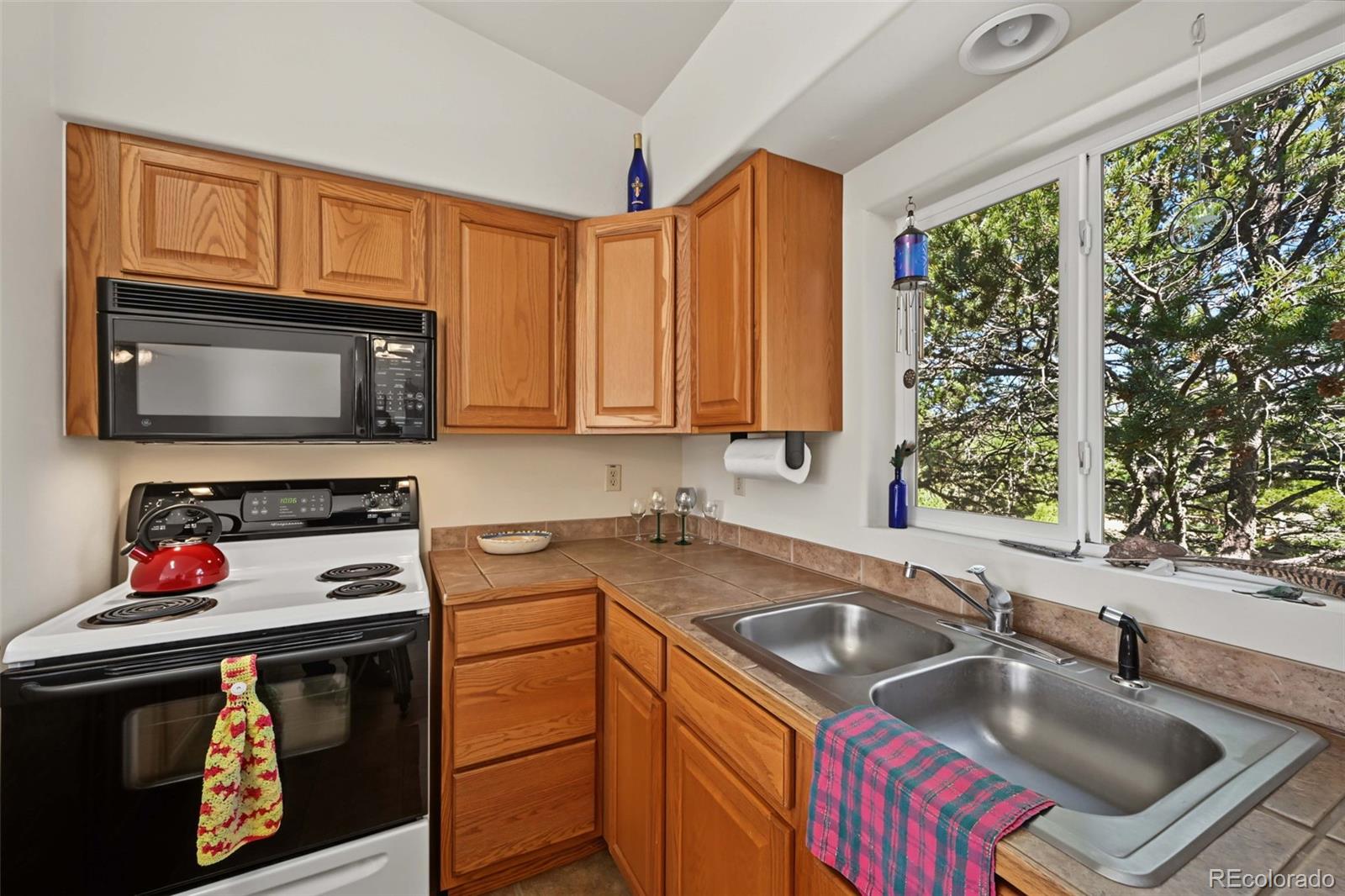 MLS Image #20 for 356  iron mountain lane,cotopaxi, Colorado
