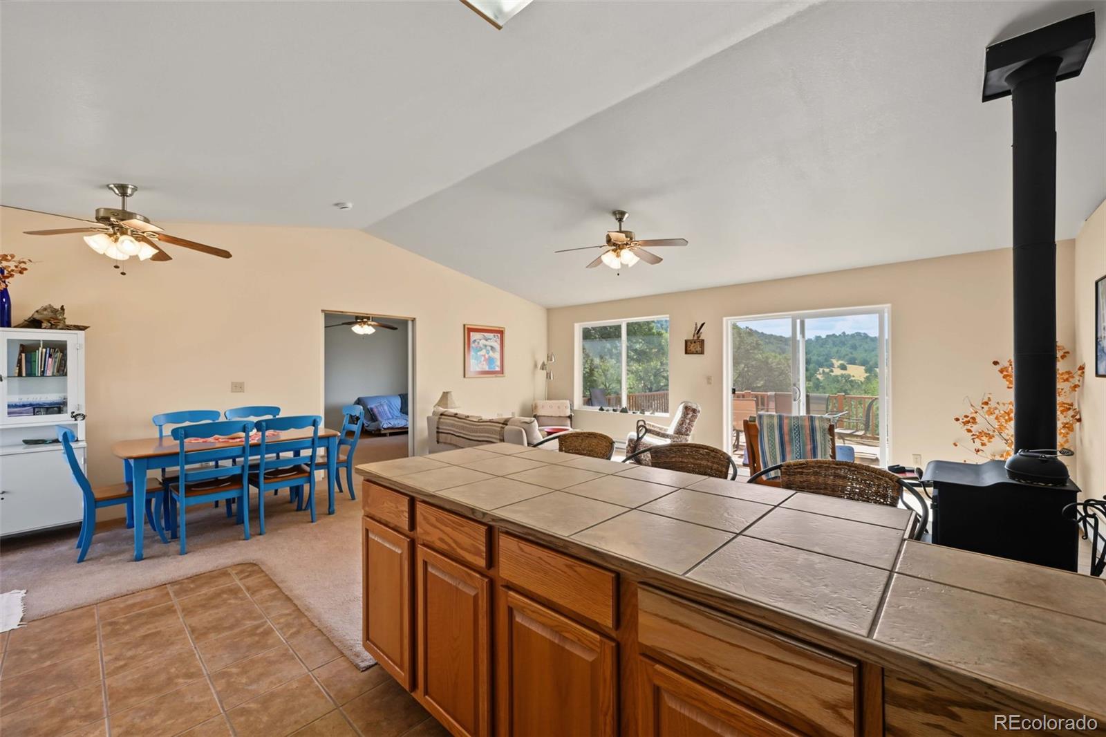 MLS Image #21 for 356  iron mountain lane,cotopaxi, Colorado