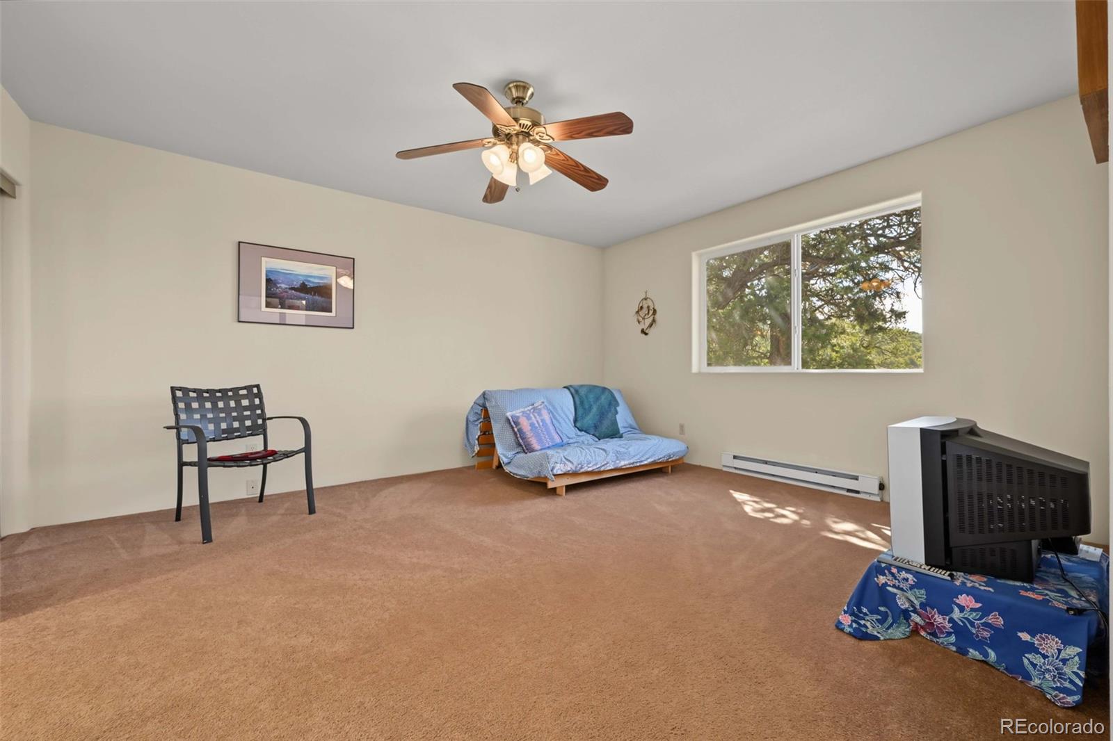 MLS Image #22 for 356  iron mountain lane,cotopaxi, Colorado