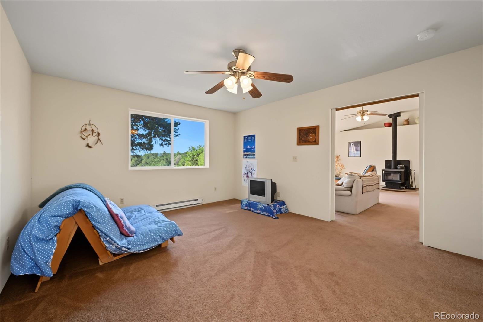 MLS Image #23 for 356  iron mountain lane,cotopaxi, Colorado