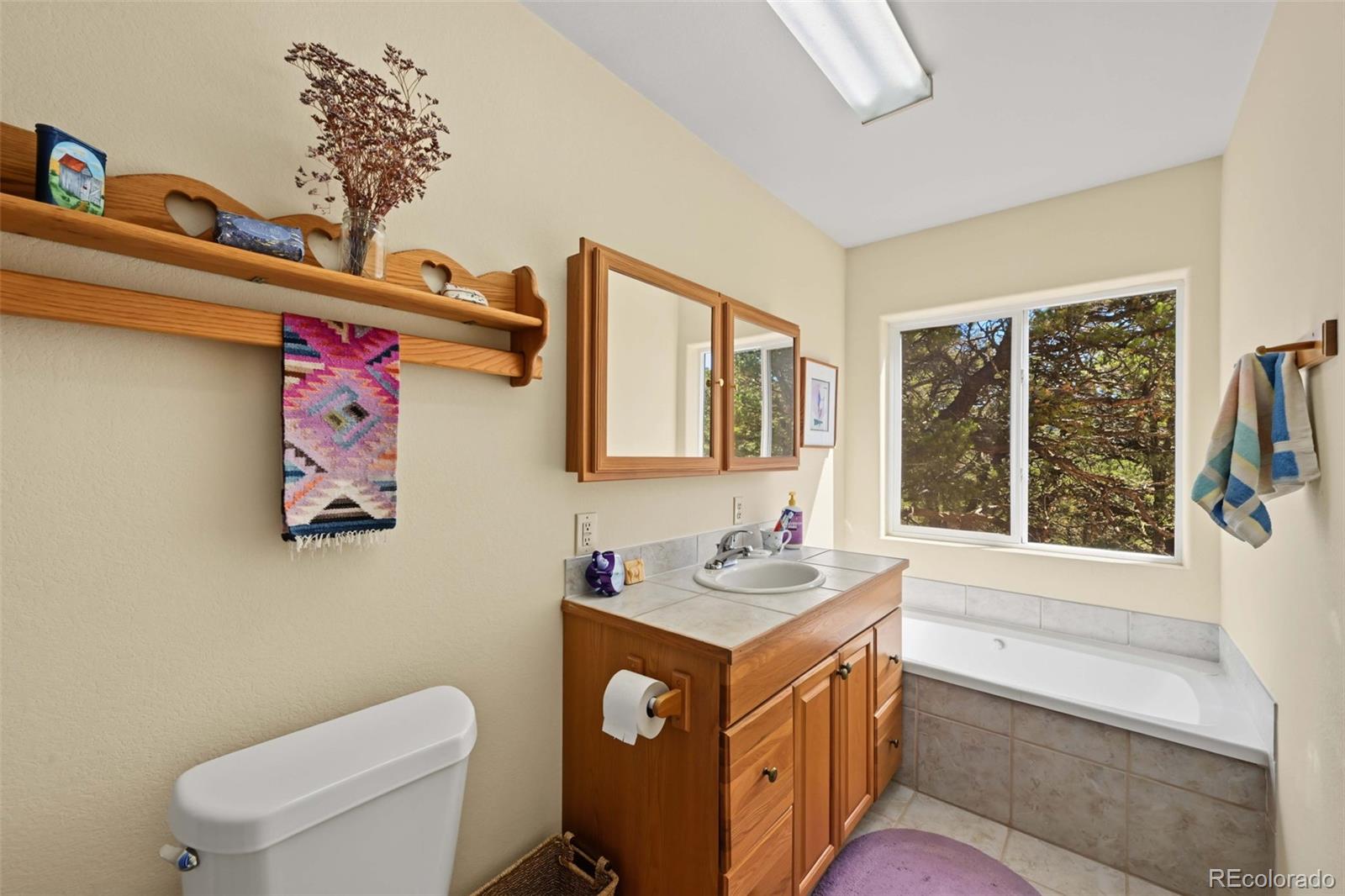 MLS Image #25 for 356  iron mountain lane,cotopaxi, Colorado