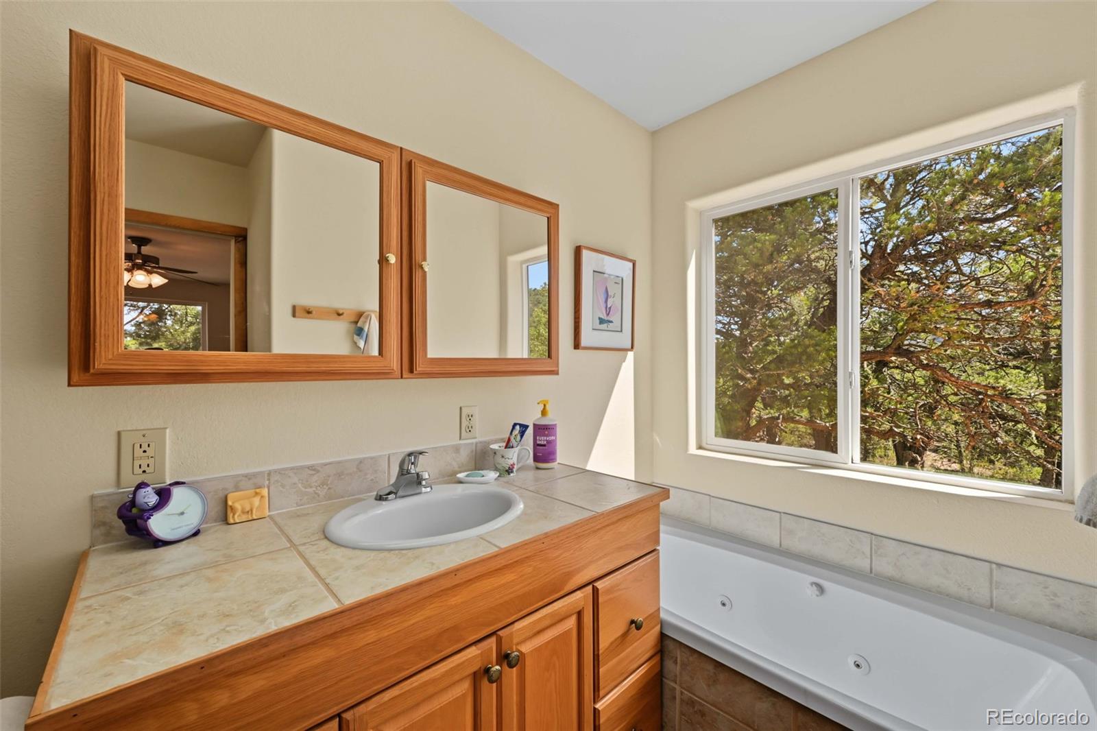 MLS Image #27 for 356  iron mountain lane,cotopaxi, Colorado