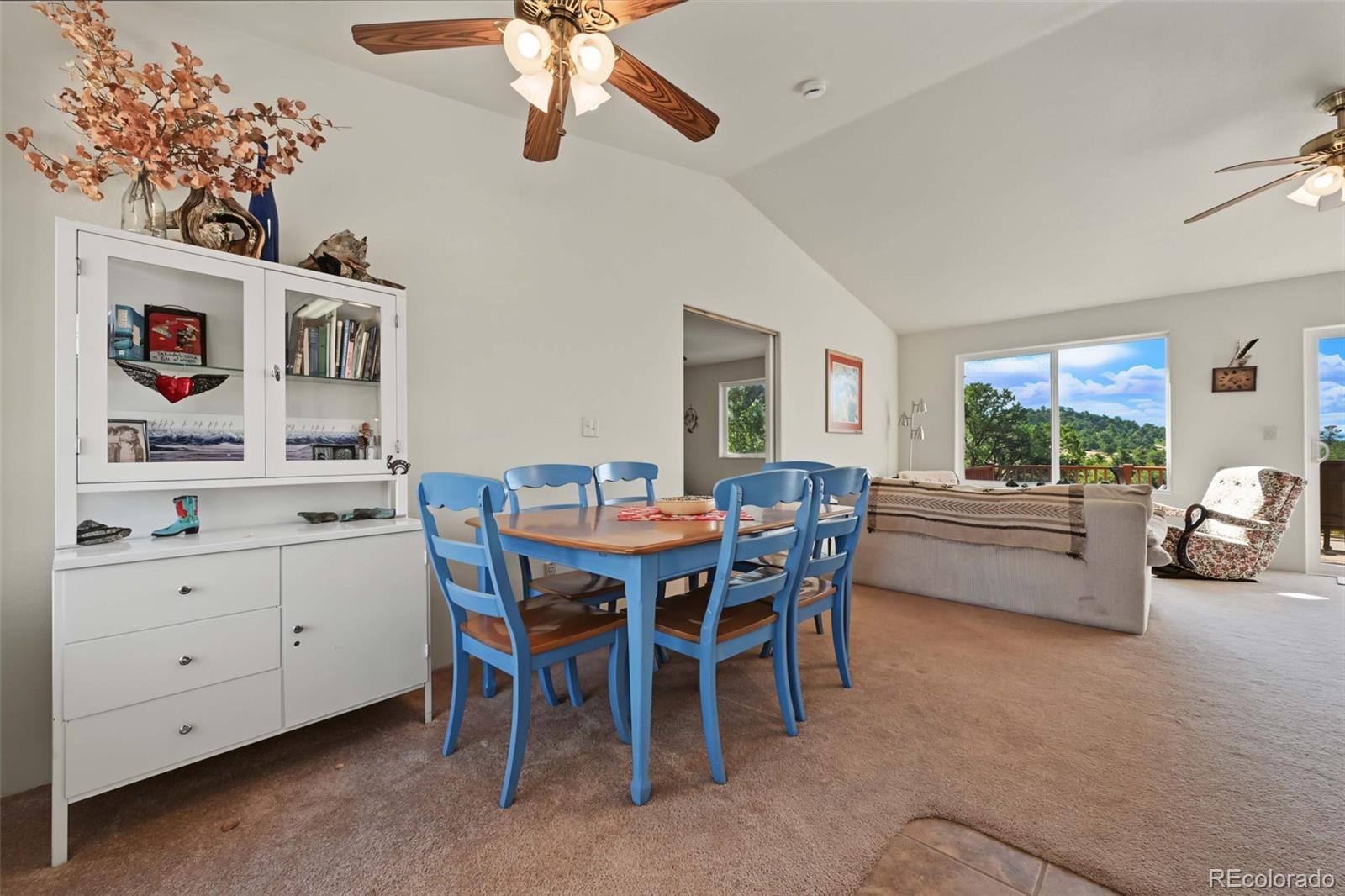 MLS Image #8 for 356  iron mountain lane,cotopaxi, Colorado