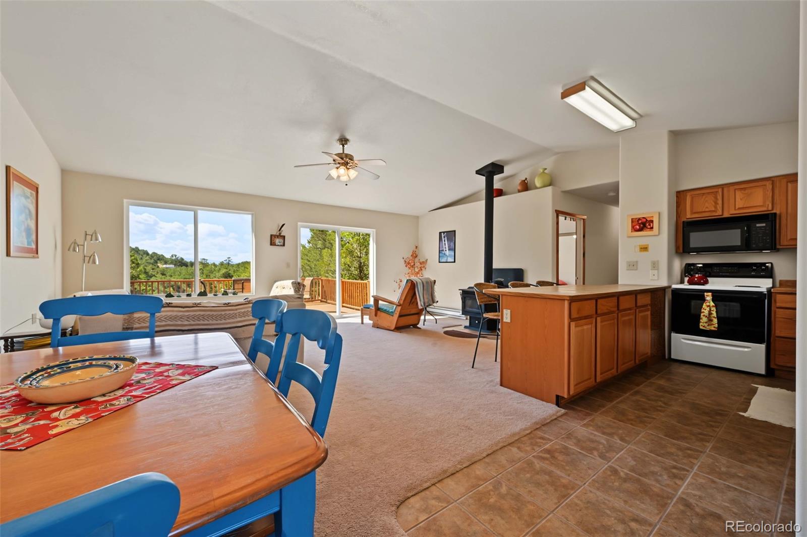 MLS Image #9 for 356  iron mountain lane,cotopaxi, Colorado