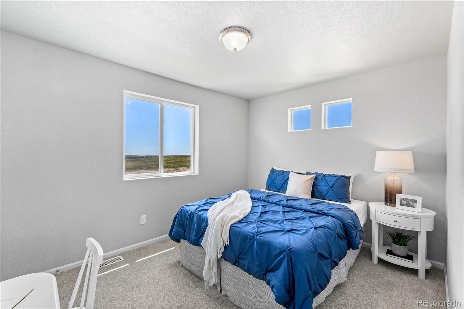 MLS Image #23 for 4053  zebrawood lane,johnstown, Colorado