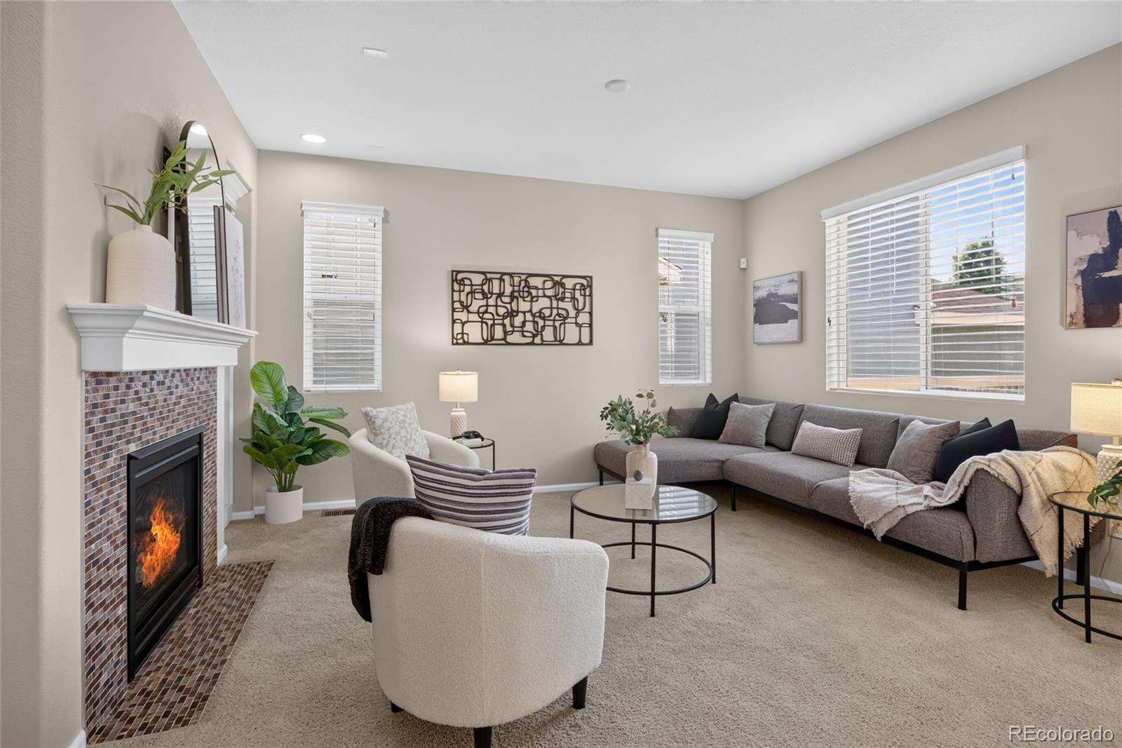 MLS Image #14 for 3810  cadence drive,castle rock, Colorado