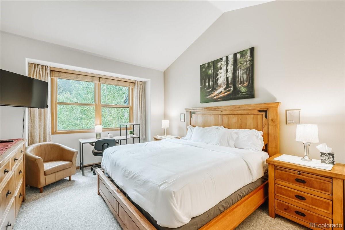MLS Image #19 for 542  northstar drive,dillon, Colorado