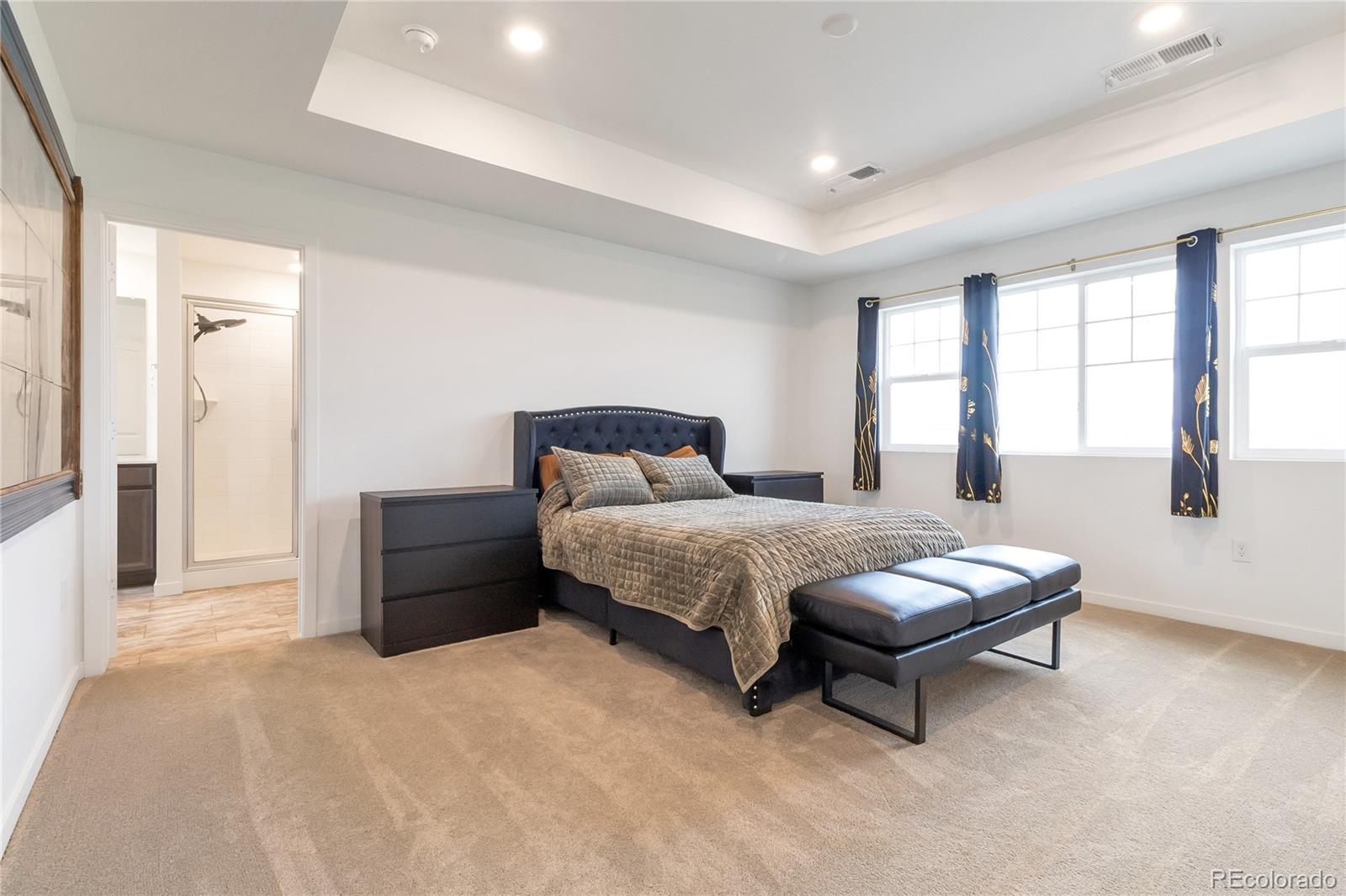 MLS Image #17 for 10001  tucson street,commerce city, Colorado