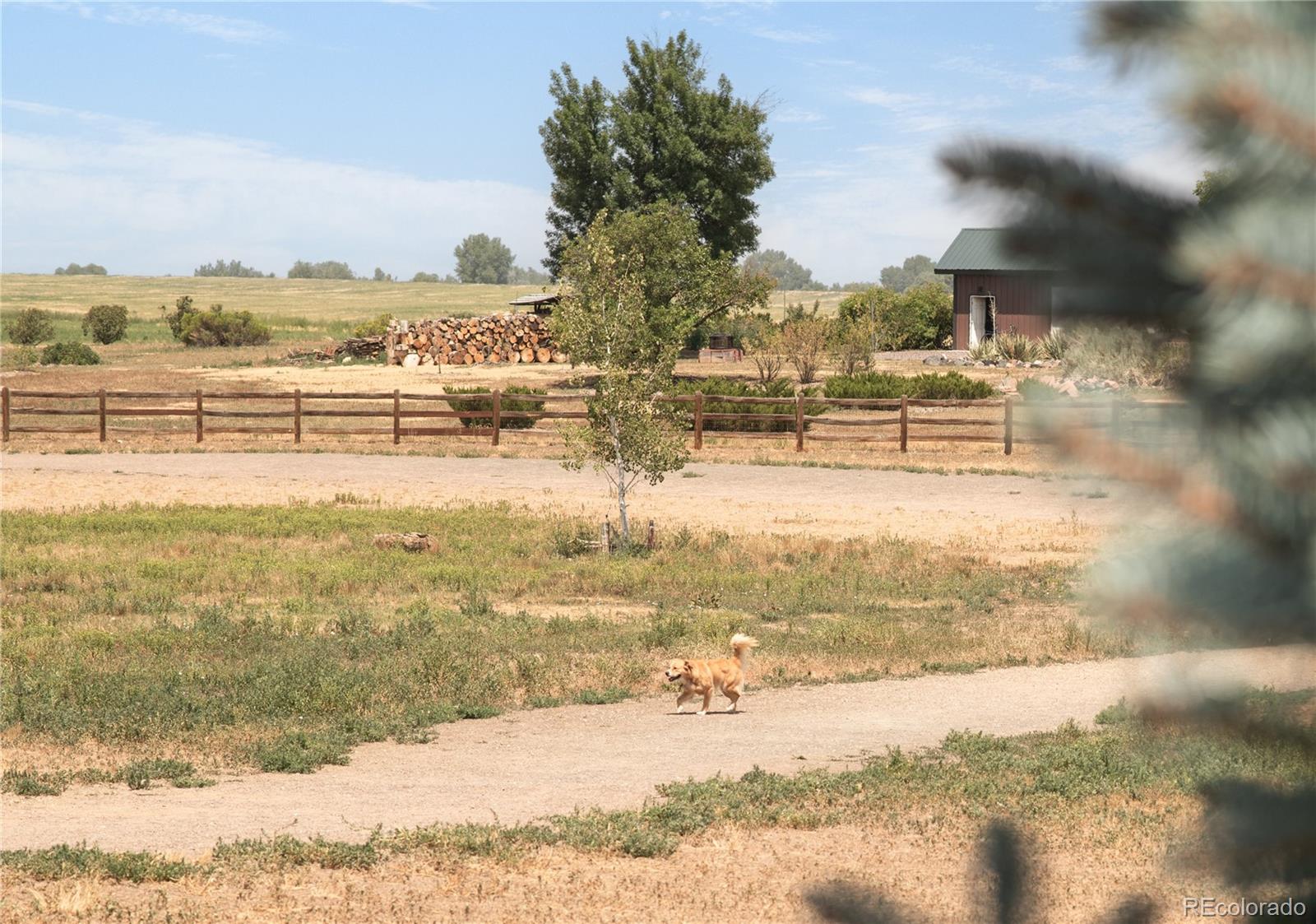 MLS Image #46 for 653  thistle place,lafayette, Colorado