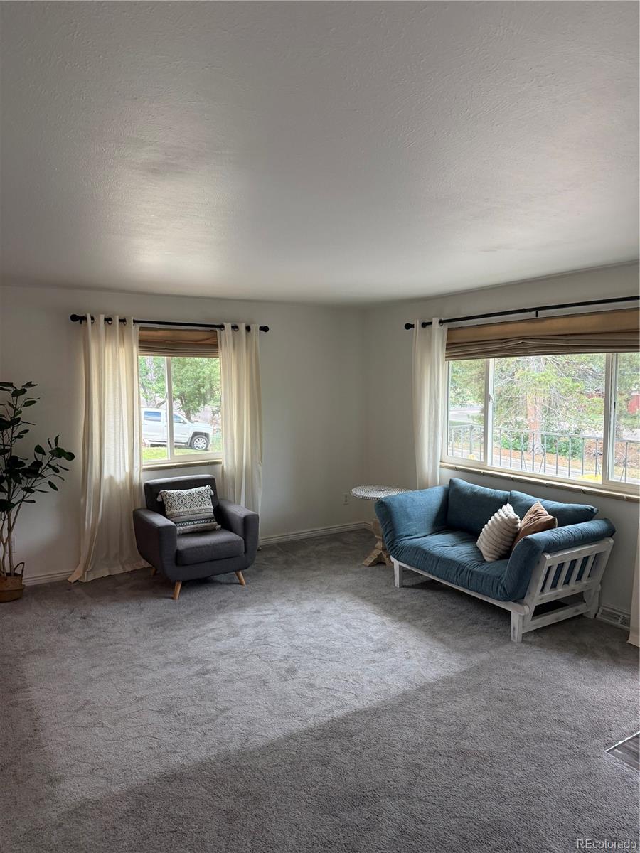 MLS Image #3 for 6090 s sterne parkway,littleton, Colorado