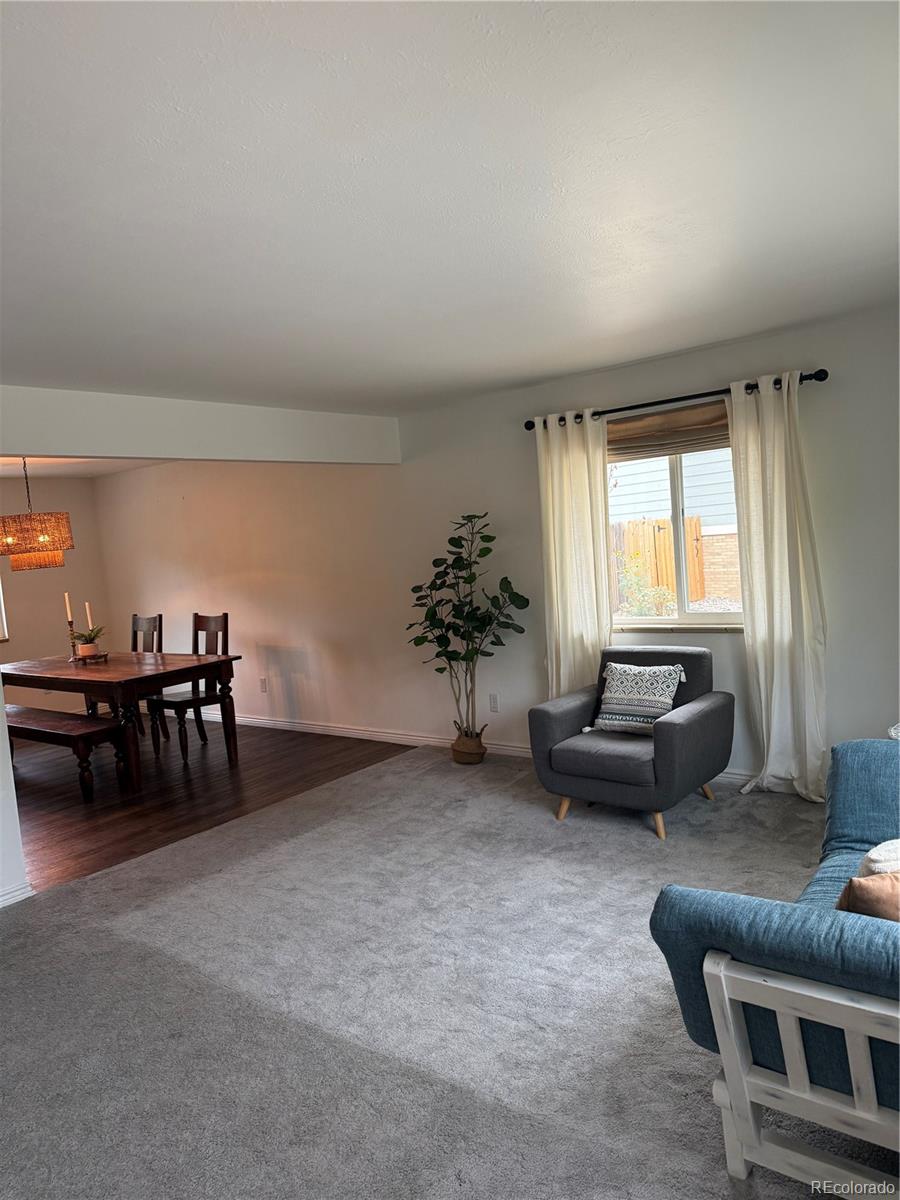 MLS Image #4 for 6090 s sterne parkway,littleton, Colorado