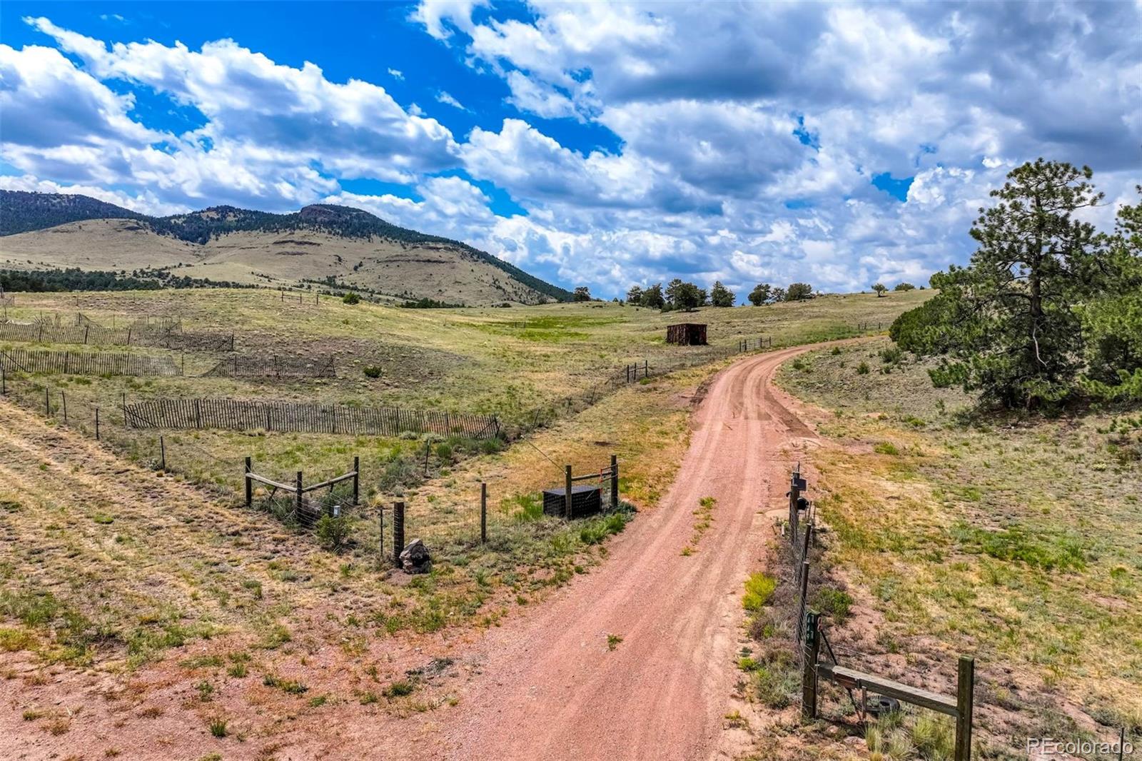 MLS Image #44 for 449  county road 85 ,guffey, Colorado