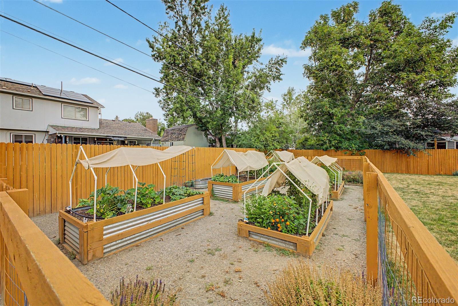 MLS Image #43 for 2105  lewis street,denver, Colorado