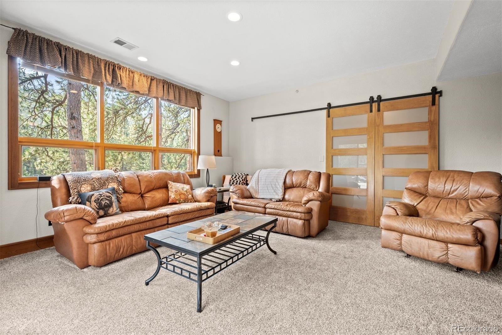 MLS Image #28 for 28781  shadow mountain drive,conifer, Colorado