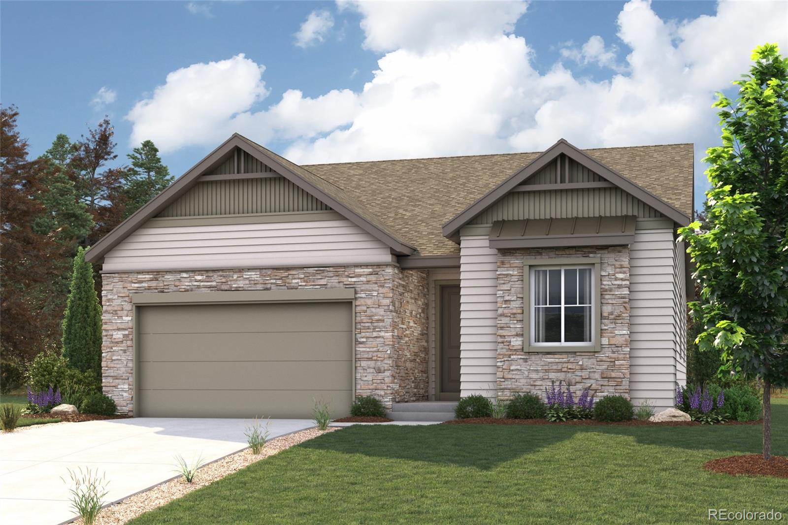 MLS Image #6 for 20858  parklane drive,parker, Colorado