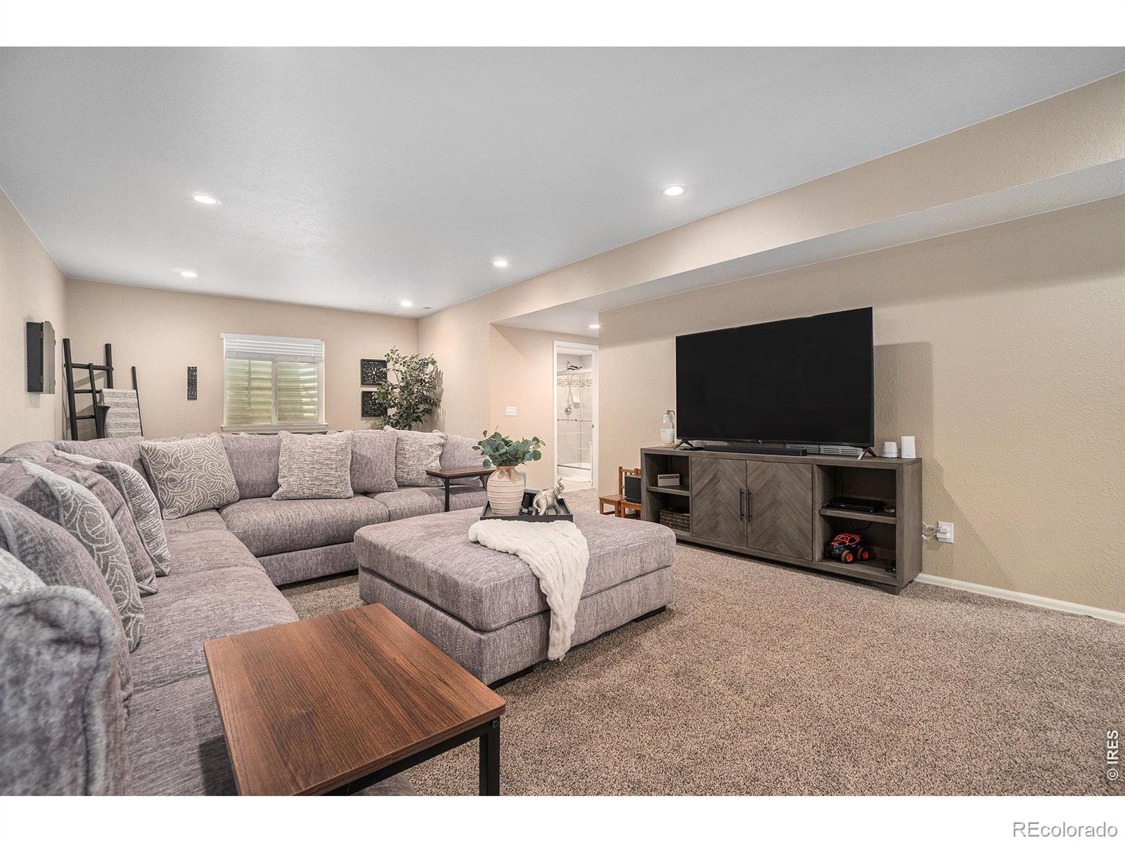 MLS Image #28 for 2163  longfin drive,windsor, Colorado