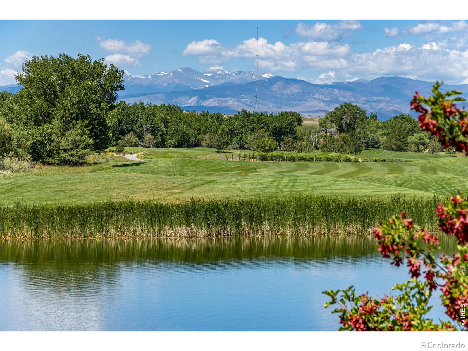 MLS Image #42 for 2163  longfin drive,windsor, Colorado