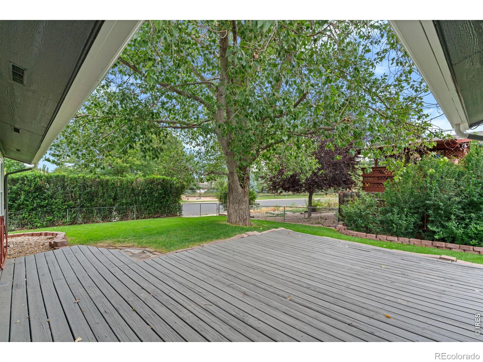 MLS Image #12 for 502 s empire avenue,loveland, Colorado