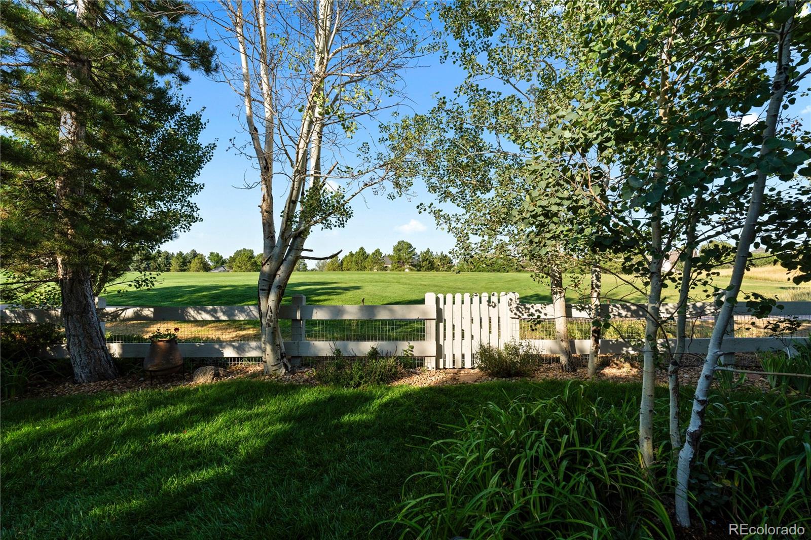 MLS Image #4 for 7319  brixham circle,castle rock, Colorado