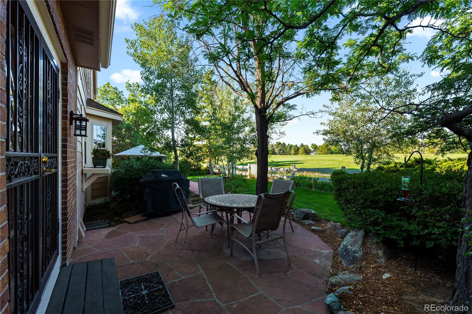 MLS Image #6 for 7319  brixham circle,castle rock, Colorado