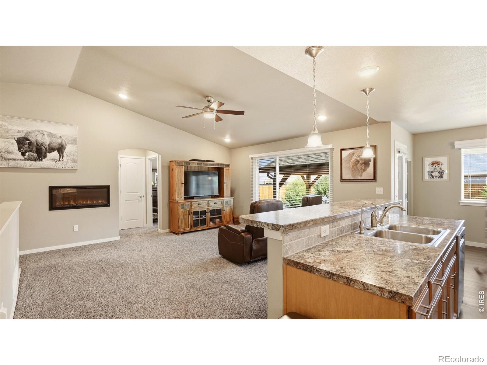 MLS Image #5 for 1217  bison way,wiggins, Colorado