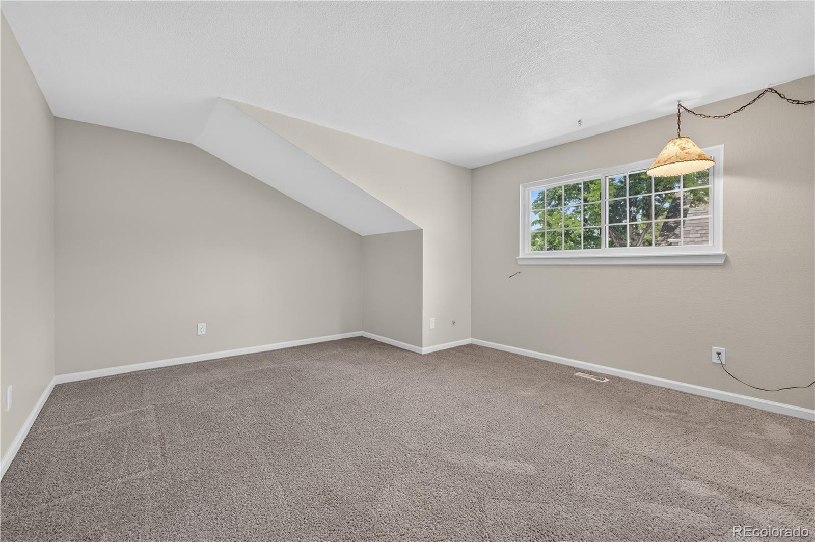 MLS Image #20 for 10594  park mountain,littleton, Colorado