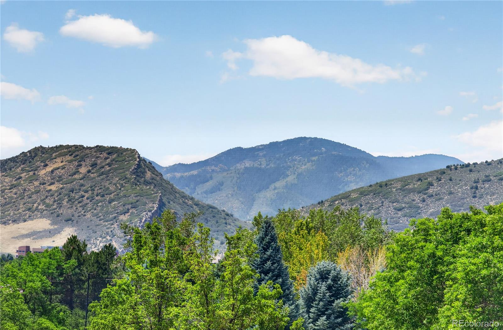 MLS Image #38 for 10594  park mountain,littleton, Colorado