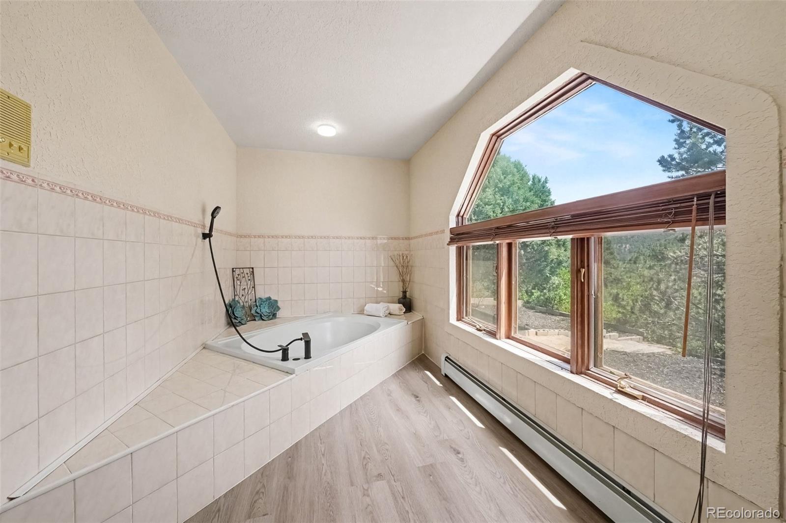 MLS Image #12 for 11480  valle verde drive,colorado springs, Colorado
