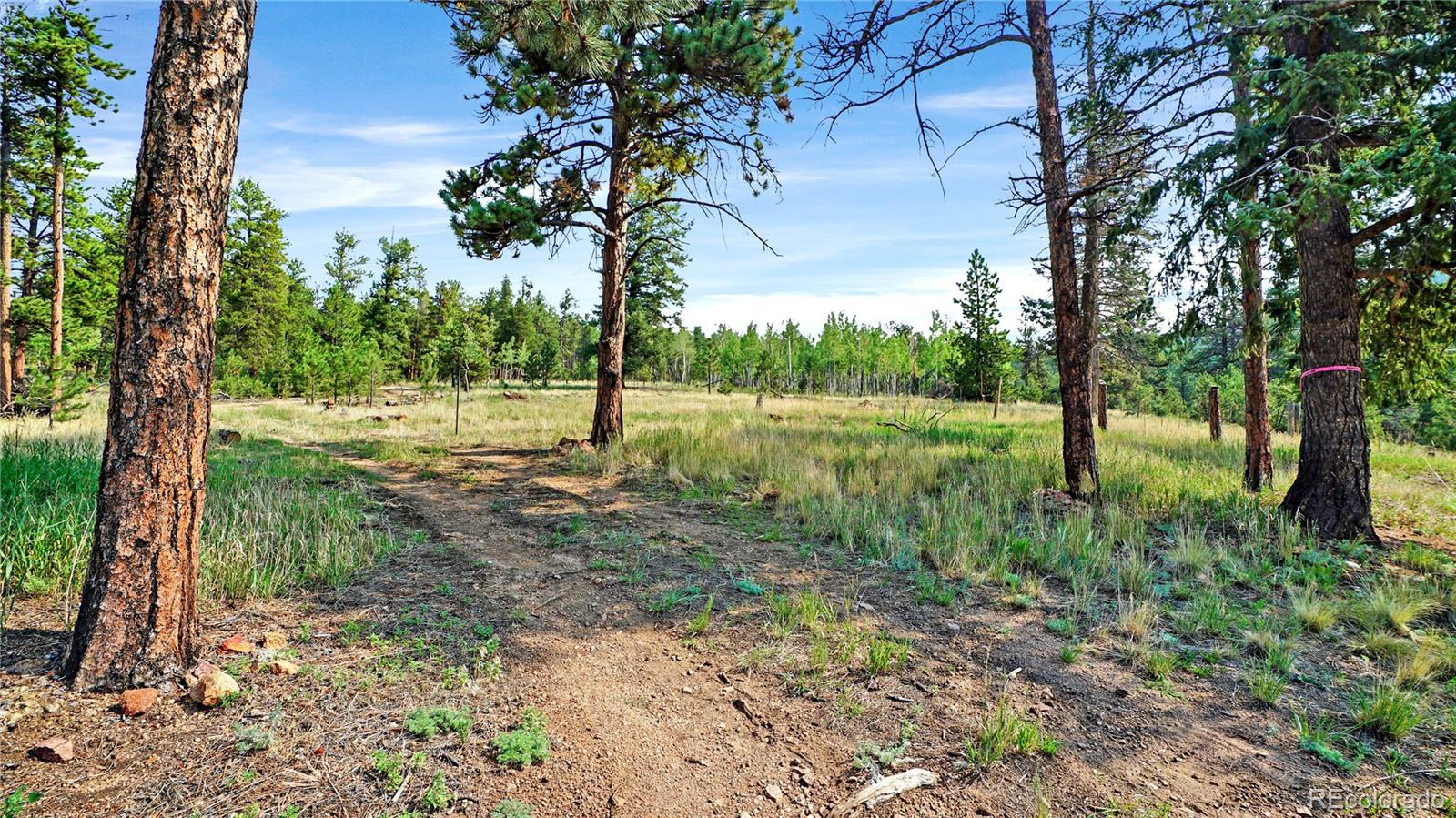 MLS Image #10 for 120  road p78 ,bailey, Colorado