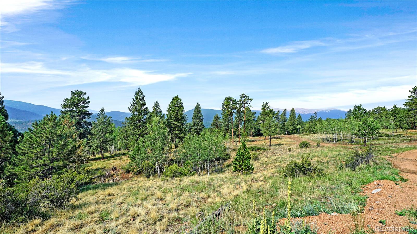 MLS Image #11 for 120  road p78 ,bailey, Colorado