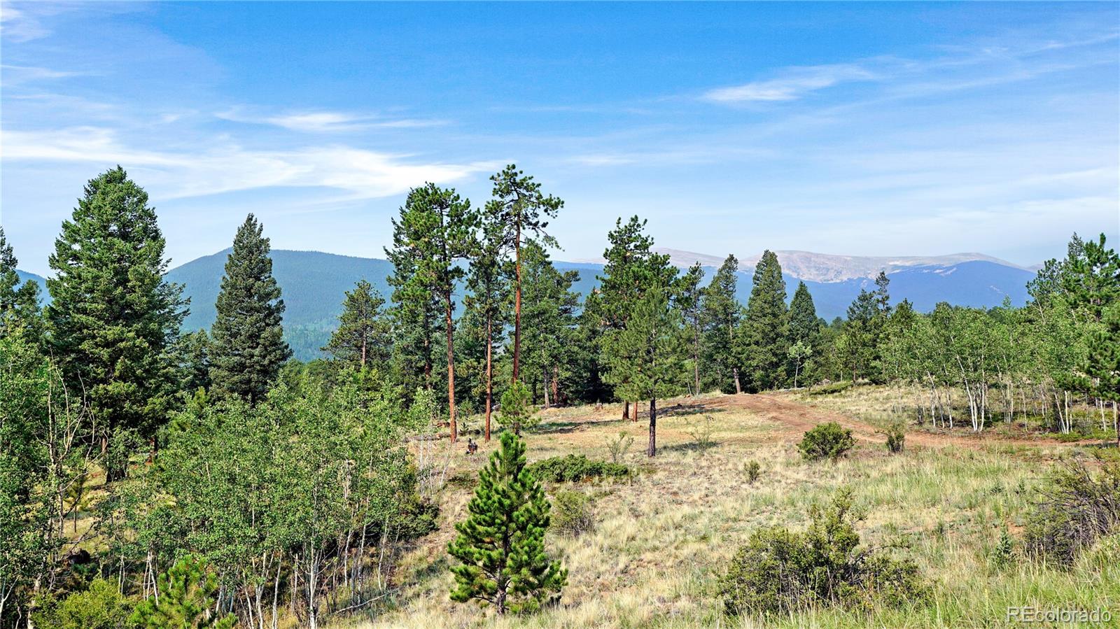 MLS Image #12 for 120  road p78 ,bailey, Colorado