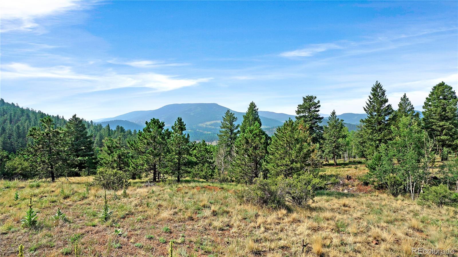 MLS Image #13 for 120  road p78 ,bailey, Colorado