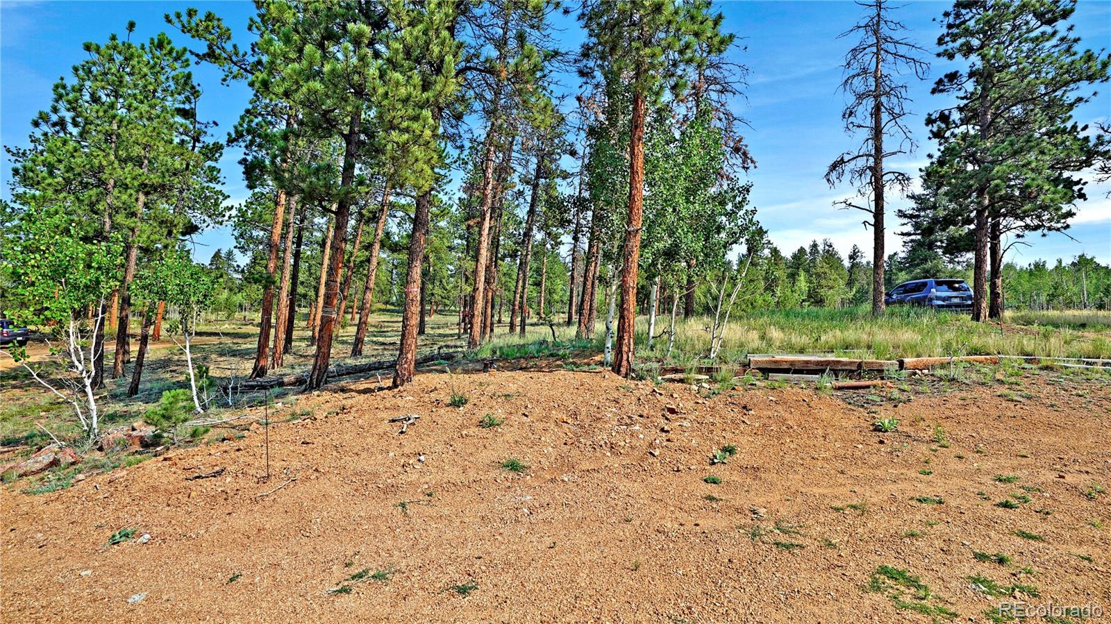 MLS Image #14 for 120  road p78 ,bailey, Colorado
