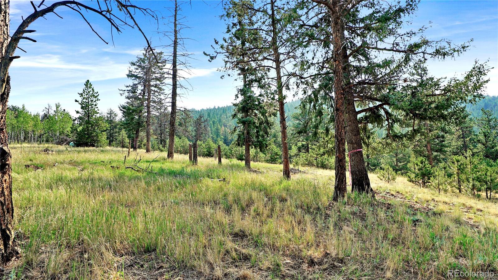 MLS Image #15 for 120  road p78 ,bailey, Colorado