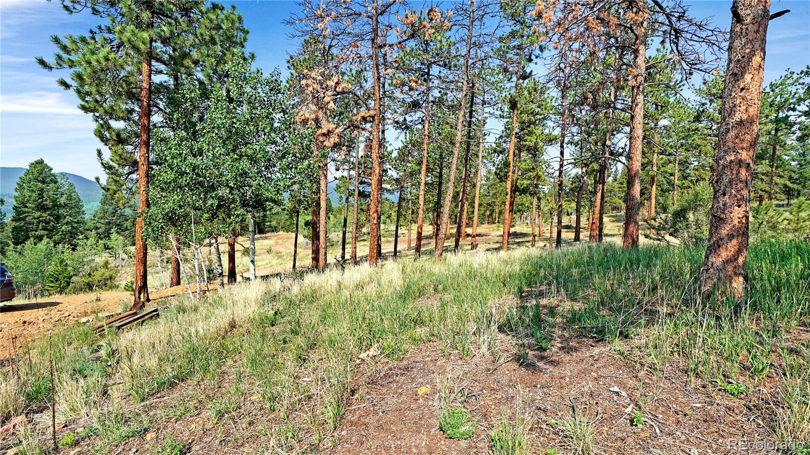 MLS Image #9 for 120  road p78 ,bailey, Colorado