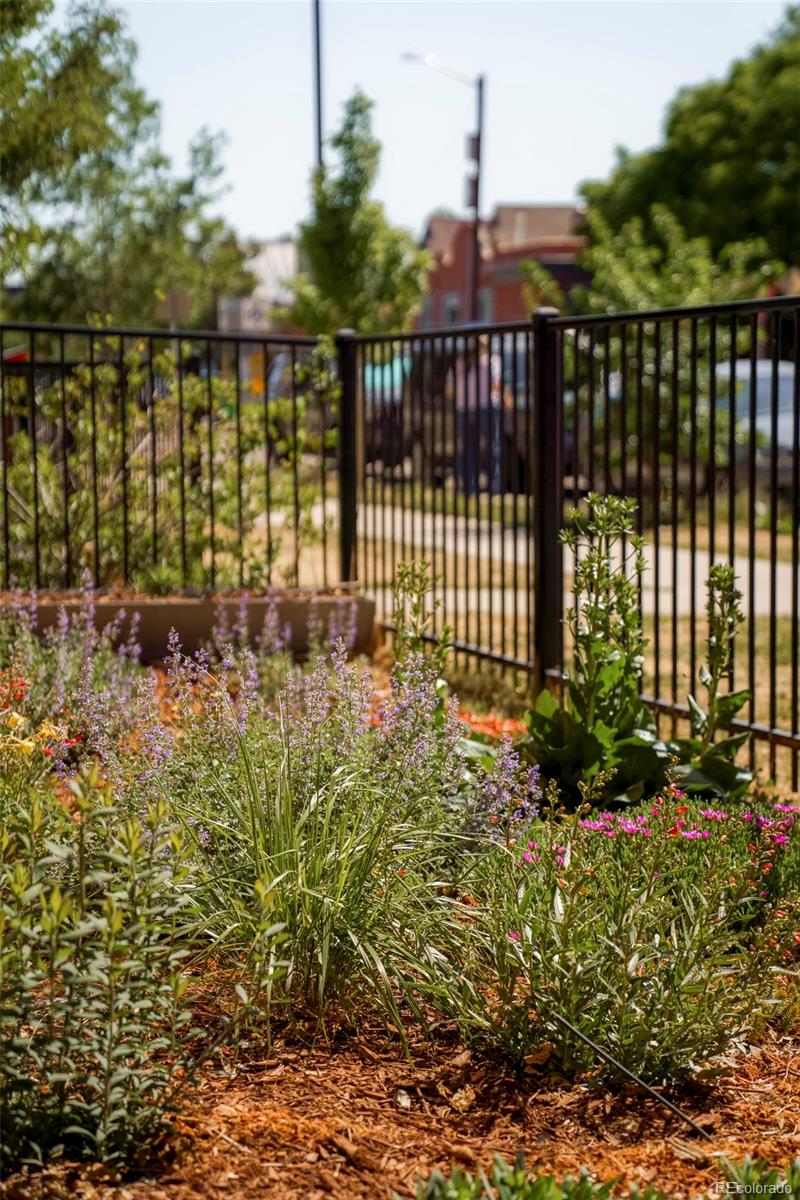 MLS Image #2 for 2525  arapahoe street,denver, Colorado