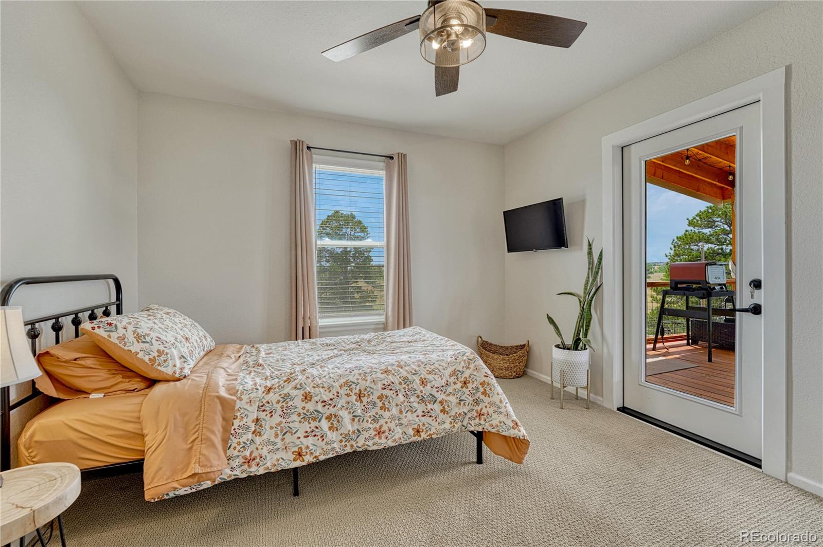 MLS Image #19 for 3293  green mountain circle,parker, Colorado